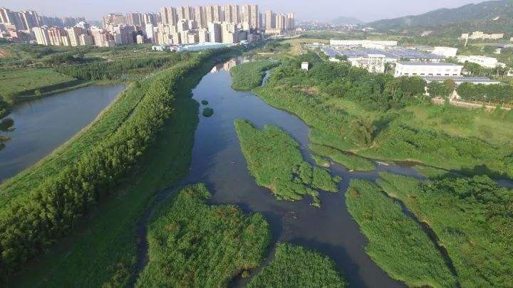 坪山河流域水环境综合整治工程
